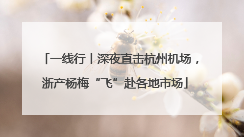 一线行丨深夜直击杭州机场，浙产杨梅“飞”赴各地市场