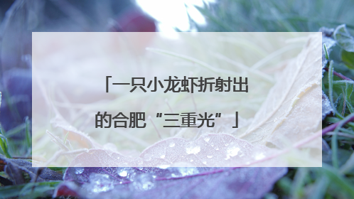 一只小龙虾折射出的合肥“三重光”