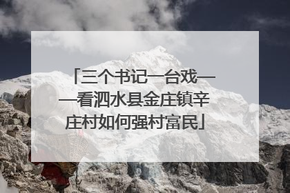 三个书记一台戏——看泗水县金庄镇辛庄村如何强村富民