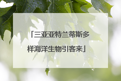 三亚亚特兰蒂斯多样海洋生物引客来