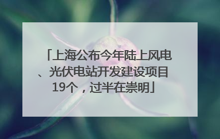 上海公布今年陆上风电、光伏电站开发建设项目19个，过半在崇明
