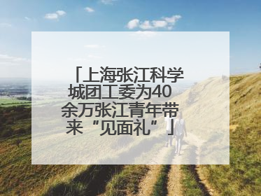 上海张江科学城团工委为40余万张江青年带来“见面礼”