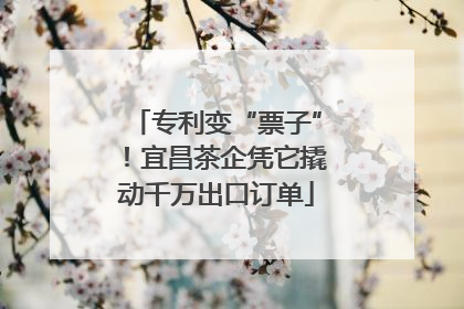 专利变“票子”！宜昌茶企凭它撬动千万出口订单