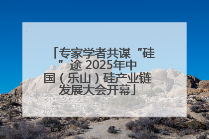 专家学者共谋“硅”途 2025年中国（乐山）硅产业链发展大会开幕