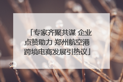 专家齐聚共谋 企业点赞助力 郑州航空港跨境电商发展引热议