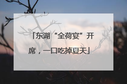 东湖“全荷宴”开席，一口吃掉夏天