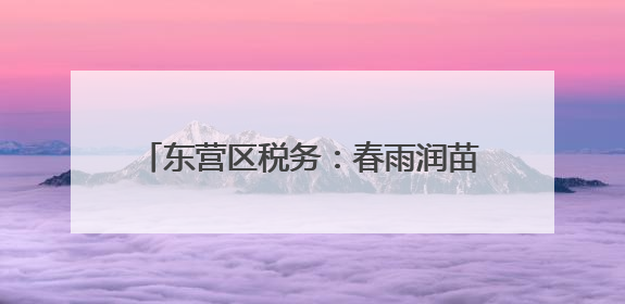 东营区税务：春雨润苗聚力小微赋能，税惠 “链” 动焕活商圈
