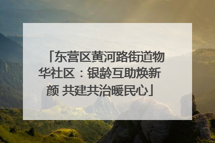 东营区黄河路街道物华社区：银龄互助焕新颜 共建共治暖民心