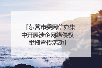 东营市委网信办集中开展涉企网络侵权举报宣传活动