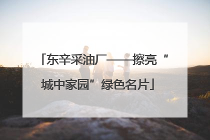 东辛采油厂——擦亮“城中家园”绿色名片