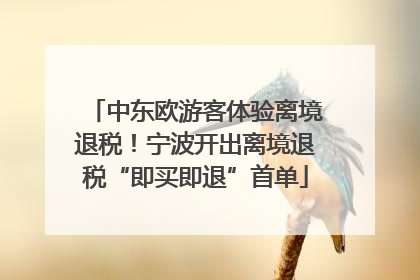 中东欧游客体验离境退税！宁波开出离境退税“即买即退”首单