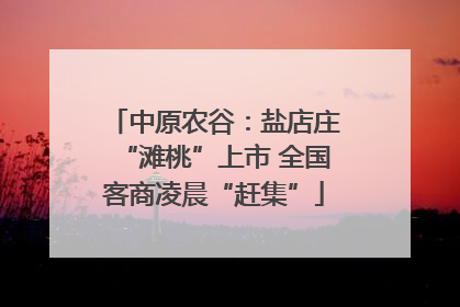 中原农谷：盐店庄“滩桃”上市 全国客商凌晨“赶集”
