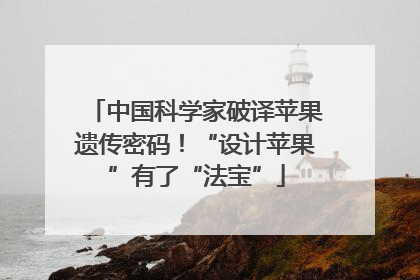 中国科学家破译苹果遗传密码！“设计苹果”有了“法宝”