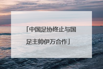 中国足协终止与国足主帅伊万合作