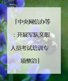 中央网信办等：开展军队文职人员考试培训专项整治