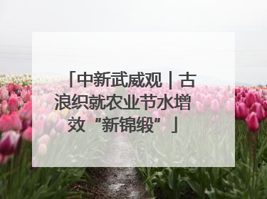 中新武威观｜古浪织就农业节水增效“新锦缎”