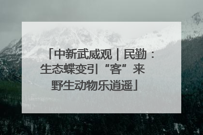 中新武威观｜民勤：生态蝶变引“客”来 野生动物乐逍遥