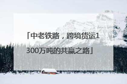 中老铁路，跨境货运1300万吨的共赢之路