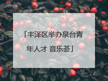 丰泽区举办泉台青年人才 音乐荟