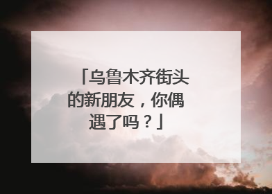 乌鲁木齐街头的新朋友，你偶遇了吗？