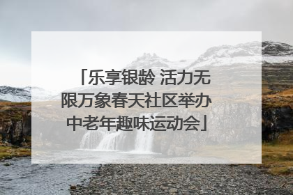 乐享银龄 活力无限万象春天社区举办中老年趣味运动会