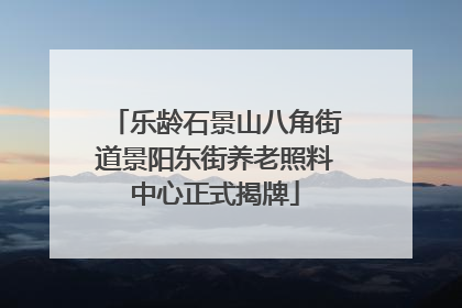 乐龄石景山八角街道景阳东街养老照料中心正式揭牌