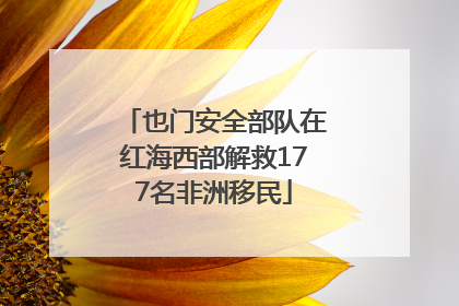 也门安全部队在红海西部解救177名非洲移民