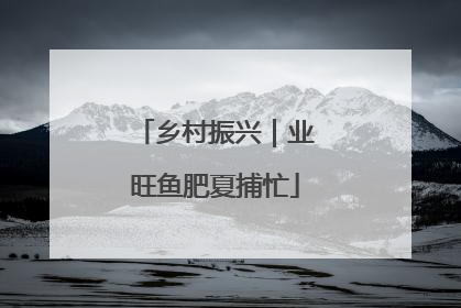 乡村振兴｜业旺鱼肥夏捕忙