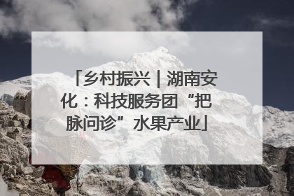 乡村振兴｜湖南安化：科技服务团“把脉问诊”水果产业