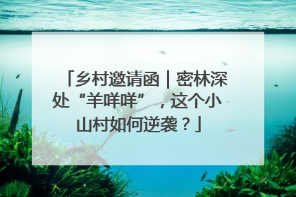 乡村邀请函｜密林深处“羊咩咩”，这个小山村如何逆袭？
