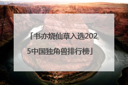 书亦烧仙草入选2025中国独角兽排行榜