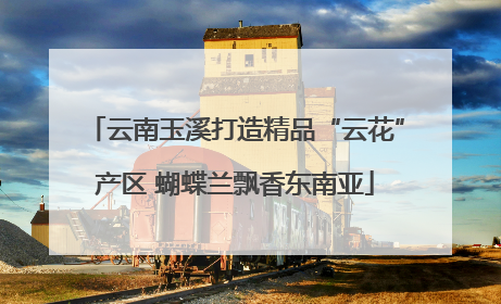 云南玉溪打造精品“云花”产区 蝴蝶兰飘香东南亚