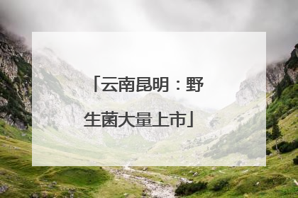 云南昆明：野生菌大量上市