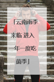 云南雨季来临 进入一年一度吃菌季