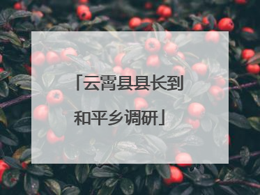 云霄县县长到和平乡调研