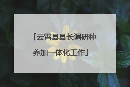 云霄县县长调研种养加一体化工作