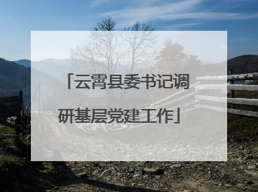 云霄县委书记调研基层党建工作