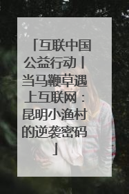 互联中国公益行动丨当马鞭草遇上互联网：昆明小渔村的逆袭密码