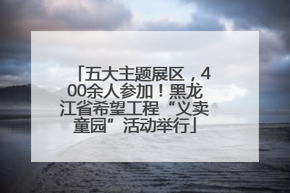 五大主题展区，400余人参加！黑龙江省希望工程“义卖童园”活动举行
