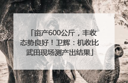 亩产600公斤，丰收态势良好！卫辉：机收比武田现场测产出结果