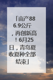 亩产886.9公斤，再创新高！6月25日，青岛夏收夏种全部结束