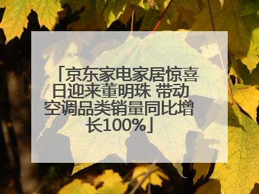 京东家电家居惊喜日迎来董明珠 带动空调品类销量同比增长100%