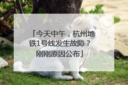 今天中午，杭州地铁1号线发生故障？刚刚原因公布