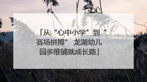 从“心中小学”到“赛场拼搏” 龙湖幼儿园多维铺就成长路