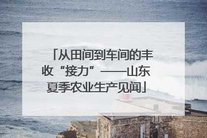 从田间到车间的丰收“接力”——山东夏季农业生产见闻
