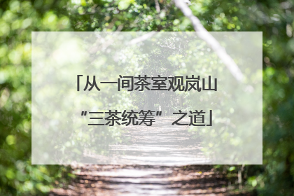 从一间茶室观岚山“三茶统筹”之道