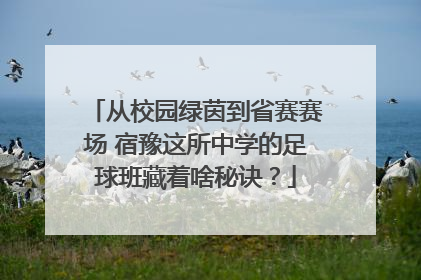 从校园绿茵到省赛赛场 宿豫这所中学的足球班藏着啥秘诀？