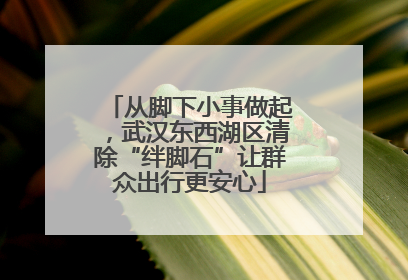 从脚下小事做起，武汉东西湖区清除“绊脚石”让群众出行更安心