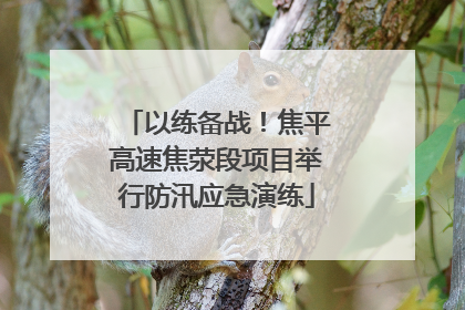 以练备战！焦平高速焦荥段项目举行防汛应急演练