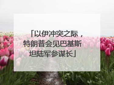 以伊冲突之际，特朗普会见巴基斯坦陆军参谋长